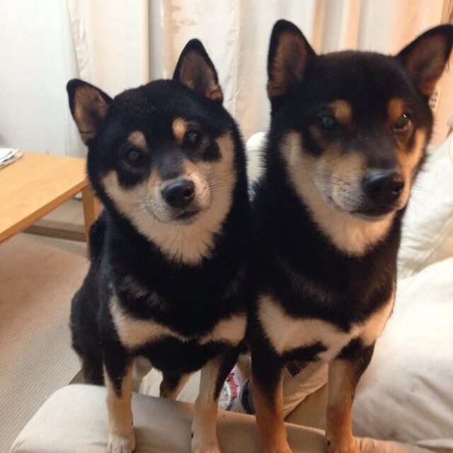 狙击与涅槃，当乔治的准星刺破费城夜空