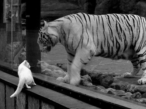 平行宇宙的裂缝，当广厦队封锁太阳，拉梅洛成为关键先生