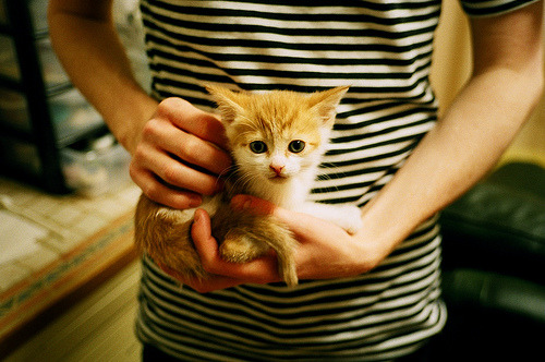 开云sport-唯一，当公牛在萨克拉门托逆天改命，约基奇于东部之巅执掌乾坤