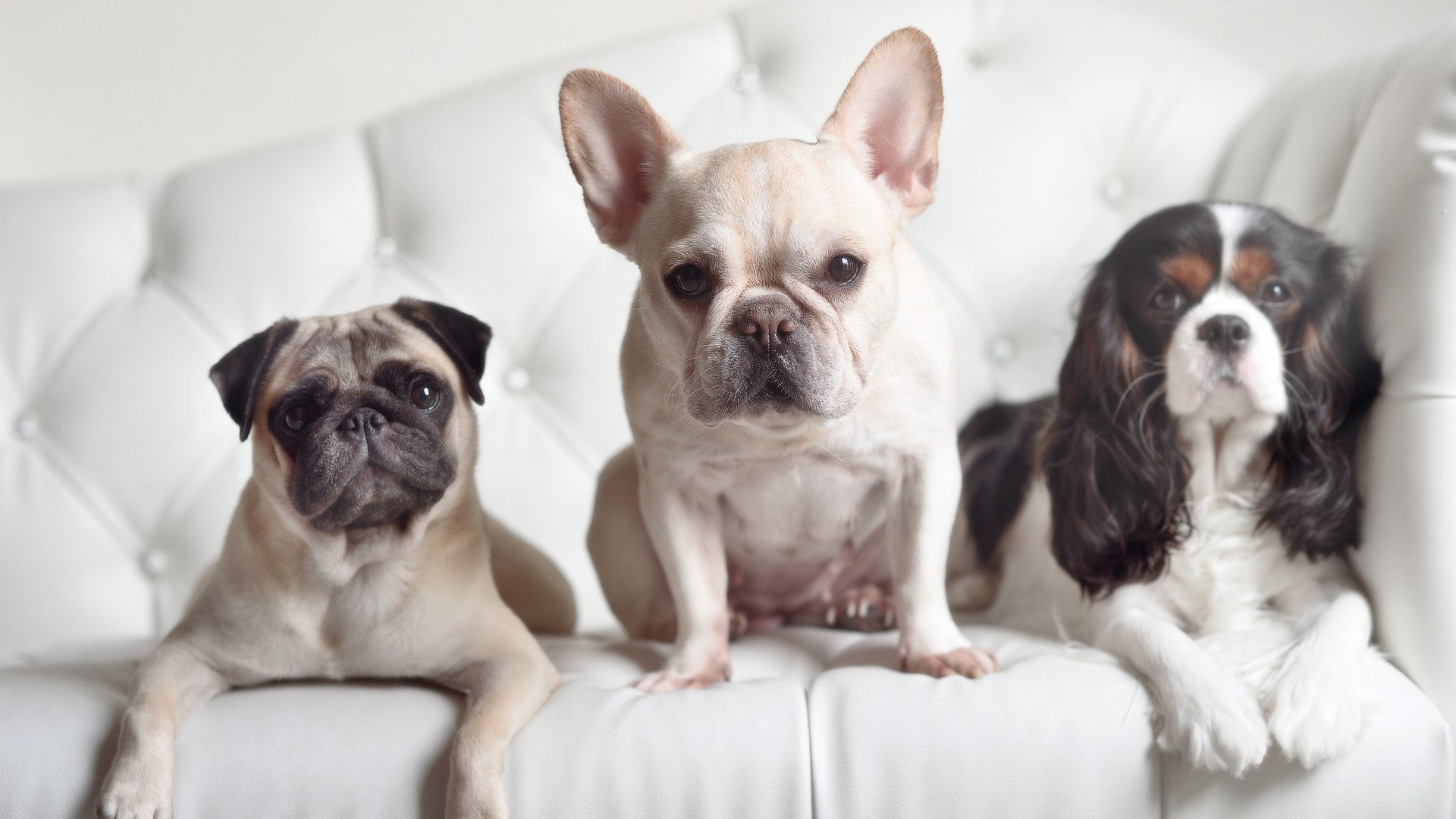 开云体育官网-双重奏，猛龙淘汰太阳与马克西抢七封神记