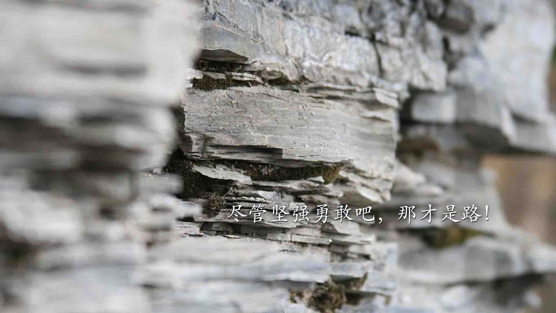 意甲焦点战之夜，范戴克数据全面爆炸，战神归来