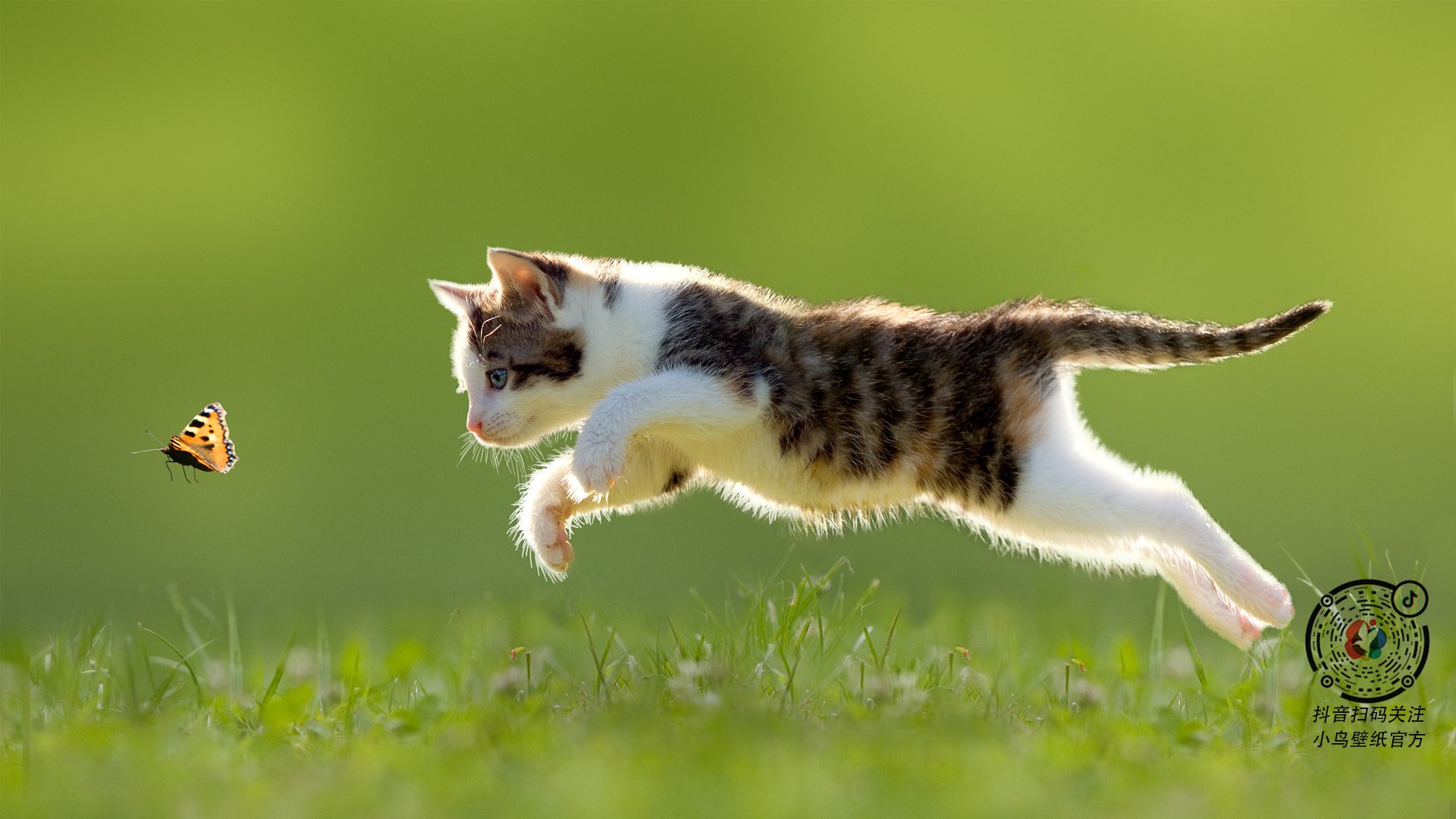 不是米勒，也不是雷吉！绝境中贝恩改写了历史定义